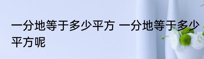 一分地等于多少平方 一分地等于多少平方呢