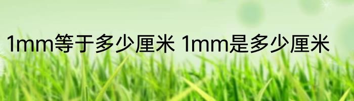 1mm等于多少厘米 1mm是多少厘米