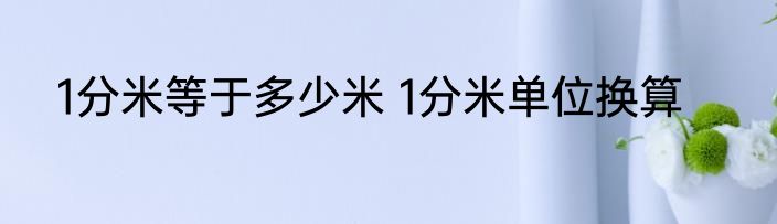 1分米等于多少米 1分米单位换算