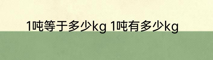 1吨等于多少kg 1吨有多少kg