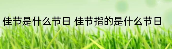 佳节是什么节日 佳节指的是什么节日