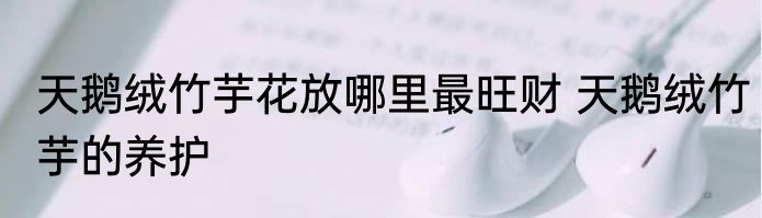 天鹅绒竹芋花放哪里最旺财 天鹅绒竹芋的养护