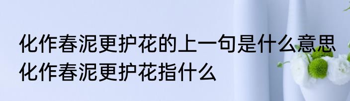 化作春泥更护花的上一句是什么意思 化作春泥更护花指什么