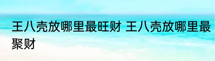 王八壳放哪里最旺财 王八壳放哪里最聚财