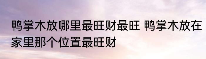 鸭掌木放哪里最旺财最旺 鸭掌木放在家里那个位置最旺财