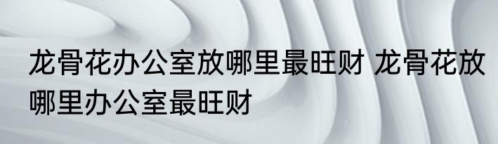 龙骨花办公室放哪里最旺财 龙骨花放哪里办公室最旺财
