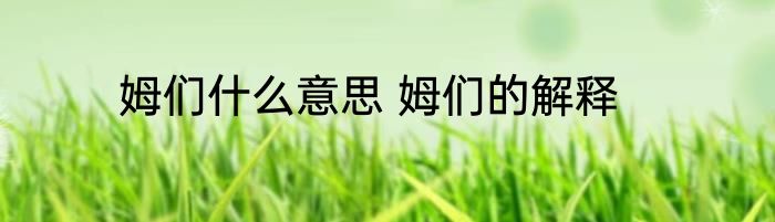 姆们什么意思 姆们的解释