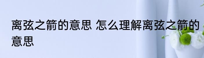 离弦之箭的意思 怎么理解离弦之箭的意思