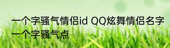一个字骚气情侣id QQ炫舞情侣名字一个字骚气点