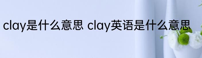 clay是什么意思 clay英语是什么意思