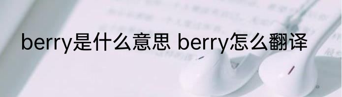 berry是什么意思 berry怎么翻译