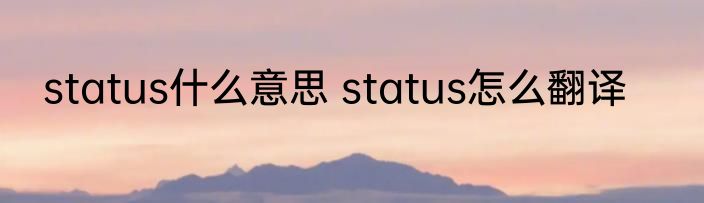 status什么意思 status怎么翻译