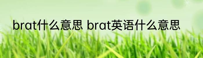 brat什么意思 brat英语什么意思