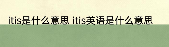 itis是什么意思 itis英语是什么意思