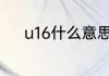 u16什么意思 u16的解释是什么