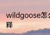 wildgoose怎么读 wildgoose英文解释