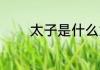 太子是什么意思 太子的解释