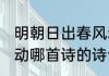 明朝日出春风动什么诗 明朝日出春风动哪首诗的诗句