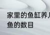 家里的鱼缸养几条鱼好 家里的鱼缸养鱼的数目