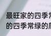 最旺家的四季常绿的爬藤植物 最旺家的四季常绿的爬藤植物有哪些