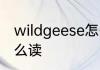 wildgeese怎么读 英语wildgeese怎么读