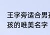 王字旁适合男孩的名字 王字旁适合男孩的唯美名字