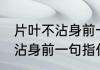 片叶不沾身前一句是什么意思 片叶不沾身前一句指什么