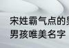 宋姓霸气点的男孩名字 宋姓霸气点的男孩唯美名字