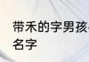 带禾的字男孩名字 带禾的字好记男孩名字
