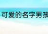 可爱的名字男孩 可爱的好听名字男孩
