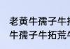 老黄牛孺子牛拓荒牛是什么意思 老黄牛孺子牛拓荒牛的含义介绍