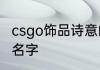 csgo饰品诗意的名字伤感 伤感诗意的名字