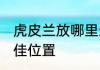 虎皮兰放哪里最旺财 虎皮兰摆放的最佳位置