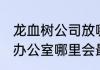 龙血树公司放哪里最旺财 龙血树放在办公室哪里会最旺财