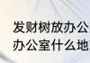 发财树放办公室哪里最旺财 发财树放办公室什么地方最旺财