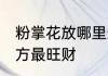 粉掌花放哪里最旺财 粉掌花放什么地方最旺财
