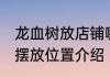 龙血树放店铺哪里最旺财 龙血树最佳摆放位置介绍