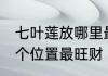 七叶莲放哪里最旺财视频 七叶莲放哪个位置最旺财