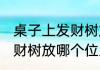 桌子上发财树放哪里最旺财 桌子上发财树放哪个位置最旺财