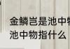 金鳞岂是池中物是什么意思 金鳞岂是池中物指什么