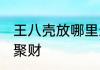 王八壳放哪里最旺财 王八壳放哪里最聚财