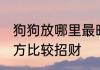 狗狗放哪里最旺财 狗窝放置在什么地方比较招财
