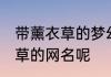 带薰衣草的梦幻网名 有没有含有薰衣草的网名呢