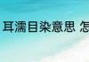 耳濡目染意思 怎么理解耳濡目染意思