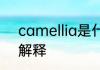 camellia是什么意思 camellia怎么解释