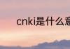 cnki是什么意思 cnki怎么解释