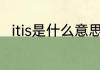 itis是什么意思 itis英语是什么意思