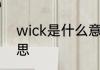 wick是什么意思 wick英语是什么意思