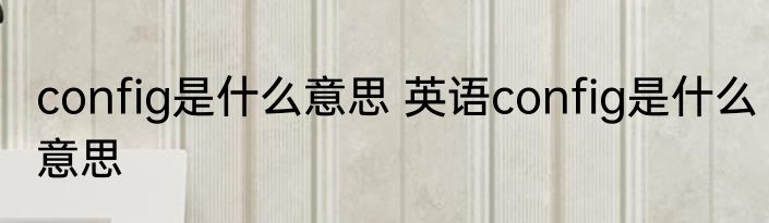 config是什么意思 英语config是什么意思