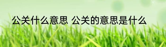 公关什么意思 公关的意思是什么